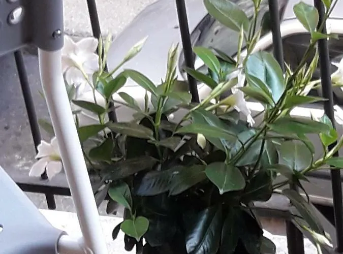 Happy Holidays Welcome *