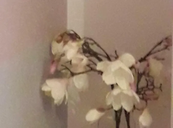 Happy Holidays Welcome *