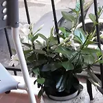 Happy Holidays Welcome *