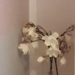 Happy Holidays Welcome *